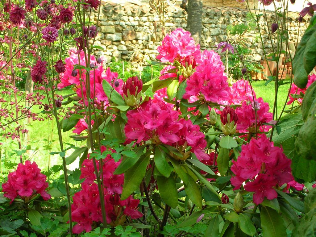 Le Logis Du Four Bed & Breakfast Soudan  Exterior photo